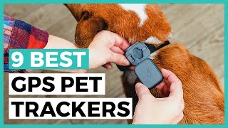 Best Gps Pet Trackers in 2025  How to Choose a Tracker to Keep an Eye on your Pet [upl. by Argus]