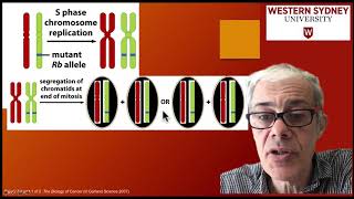 Lesson True Breeding genetics [upl. by Nyleuqcaj]