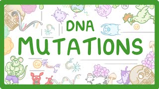 GCSE Biology  What are DNA Mutations 67 [upl. by Elenore]