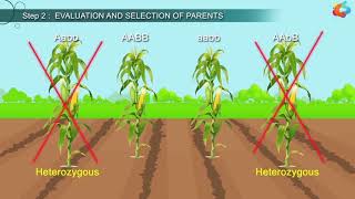 An Introduction To Animal Husbandry [upl. by Merrick]