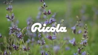 Commercial  AE  RICOLA [upl. by Yrrehc564]