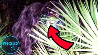 Top 10 Famous Real Life Monsters Caught on Camera [upl. by Karee59]