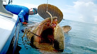 Caught a Monster Grouper that Weighed MORE than the BOAT [upl. by Den]