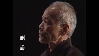 Iaido SeizanoBu 09 Tsukikage Iwata Norikazu Sensei Translation in description 居合道 正座の部 九本目 月影 岩田憲一 [upl. by Audre]