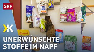 Katzenfutter im Test Gesundheitsgefährdende Stoffe im Katzennapf  2018  Kassensturz  SRF [upl. by Alleen413]