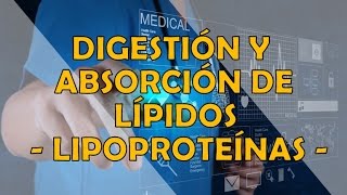 DIGESTIÓN Y ABSORCIÓN DE LÍPIDOS  LIPOPROTEINAS [upl. by Ymerrej]