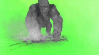 Green Screen 40 essential effects [upl. by Eisiam]