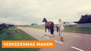 Verkeersmak maken  PaardenpraatTV [upl. by Middleton]