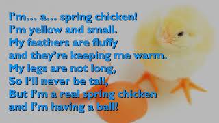 Spring Chicken Song One Mother Hen with lyrics for congregations [upl. by Ynaffital]