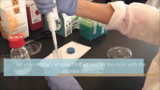 Making Alginate Gels [upl. by Tham]