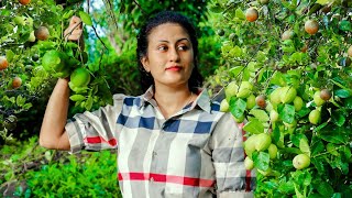 The day of Sour  Poorna  The nature girl [upl. by Yr]