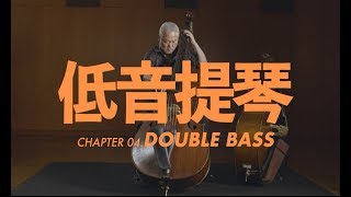 低音提琴介紹 Double Bass [upl. by Nerad]