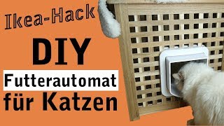 Futterautomat für Katzen selber bauen  DIY IKEA HACK [upl. by Ernie]