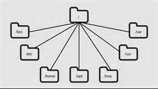 Learning the Linux File System [upl. by Hartnett709]