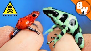 Which Poison Frog Can Kill You [upl. by Cirde]