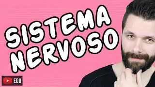 SISTEMA NERVOSO  FISIOLOGIA  Aula  Biologia com Samuel Cunha [upl. by Maffa512]