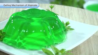 Characteristics of Alginate quotGelationquot [upl. by Ayin]