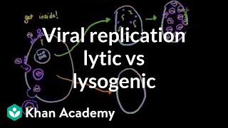 Viral replication lytic vs lysogenic  Cells  MCAT  Khan Academy [upl. by Enahc]