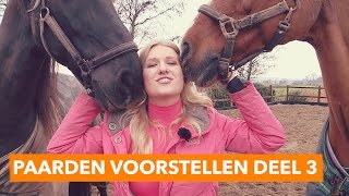 Paarden voorstellen deel 3  PaardenpraatTV [upl. by Anahsar572]