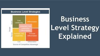 Business Level Strategy Explained [upl. by Labors431]