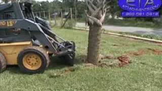 SkidSteer Tree Spade FFC 36quot Tree Spade [upl. by Rento799]