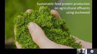 Animal production systems Sustainable feed formulations [upl. by Agler]