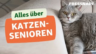 Seniorkatze Wie alt werden Katzen und wie verändern sie sich [upl. by Saihtam]