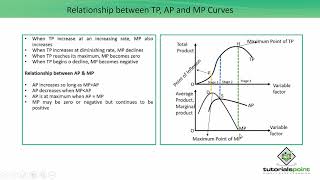 Class 12th – Relationship between TP AP and MP Curves  Economics  Tutorials Point [upl. by Cooley]