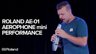 Roland AE01 Aerophone mini Performance and Sounds [upl. by Notxarb]