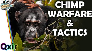 Can Chimps Wage War  Tales From the Bottle [upl. by Notsecnirp484]