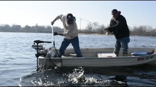 How to Properly Net a Fish  Beckman Nets [upl. by Enylecoj]