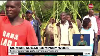 Former Mumias Sugar Company employees protest over salary arrears [upl. by Naujuj]