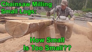 Chainsaw Mill Small Logs [upl. by Edouard]