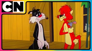 Looney Tunes🐰 Nonstop Fun 🤩 The Looney Goes Haywire 😝 Compilation  Cartoon for Kids  cnindia [upl. by Natsuj444]