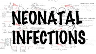 Neonatal Infections  Overview [upl. by Seftton]