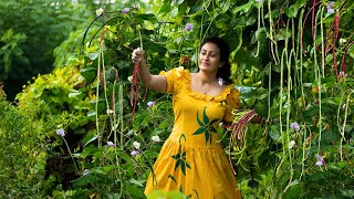 Homeland Long beans harvestI prepared More delicious beyond from the traditional recipesPoorna [upl. by Oinotnaesoj]