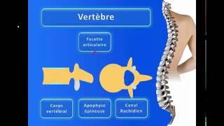 La Colonne Vertébrale [upl. by Lilly]