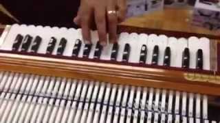 Pakrashi Harmonium tonal Demo [upl. by Essinger]