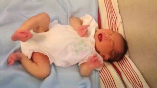 Newborn Baby Kicking and Crying [upl. by Meggie]