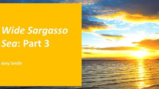 Wide Sargasso Sea Part 3 [upl. by Asirahc]