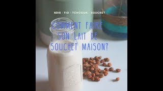 Lait de Souchet fait maison un lait végétal super facile à préparer [upl. by Breban917]