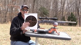 SAVAGE BMAG TARGET 17 WSM REVIEW [upl. by Enail]