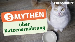 Top 5 Ernährungsmythen bei der Katze [upl. by Burnaby929]