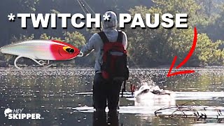 3 Beginner Lure Fishing Mistakes  How To Fix Them [upl. by Denten106]