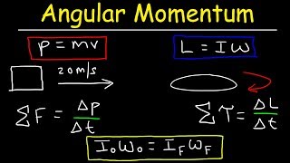 Angular Momentum  Basic Introduction Torque Inertia Conservation of Angular Momentum [upl. by Francis]