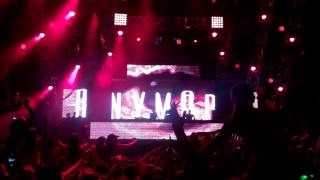 Cedric Gervais  Summertime Sadness Lana Del Rey live  Ultra Music Festival Miami 300314 [upl. by Tayib]