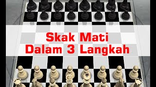 Catur Skak Mati Dalam 3 Langkah [upl. by Tnilk]