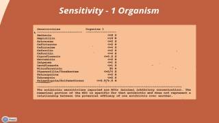 Interpreting a Urine Culture amp Sensitivity [upl. by Chelsae]