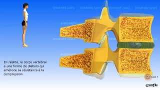 Le vieillissement de la colonne vertébrale [upl. by Amik16]