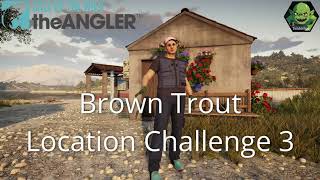 Brown Trout Location Challenge 3 [upl. by Ki]